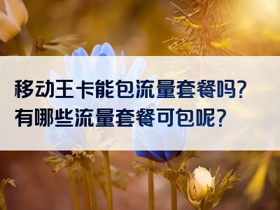 移动王卡能包流量套餐吗？有哪些流量套餐可包呢？