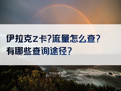 伊拉克z卡？流量怎么查？有哪些查询途径？