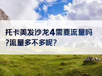 托卡美发沙龙4需要流量吗？流量多不多呢？