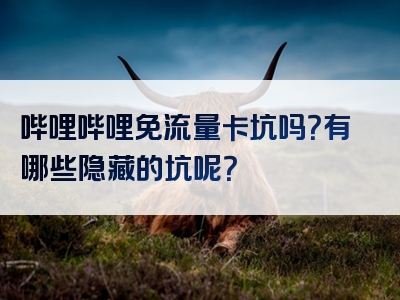 哔哩哔哩免流量卡坑吗？有哪些隐藏的坑呢？