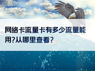 网络卡流量卡有多少流量能用？从哪里查看？