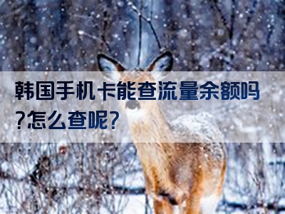 韩国手机卡能查流量余额吗？怎么查呢？