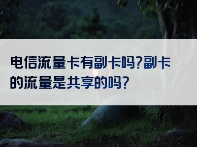 电信流量卡有副卡吗？副卡的流量是共享的吗？