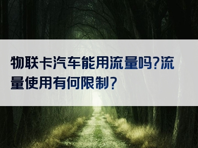 物联卡汽车能用流量吗？流量使用有何限制？