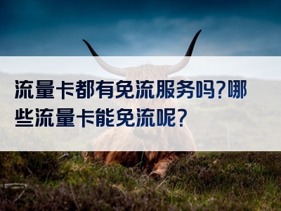 流量卡都有免流服务吗？哪些流量卡能免流呢？