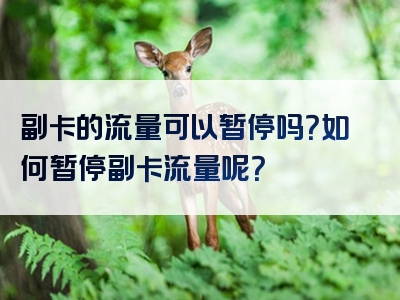 副卡的流量可以暂停吗？如何暂停副卡流量呢？