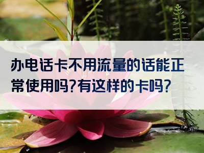 办电话卡不用流量的话能正常使用吗？有这样的卡吗？