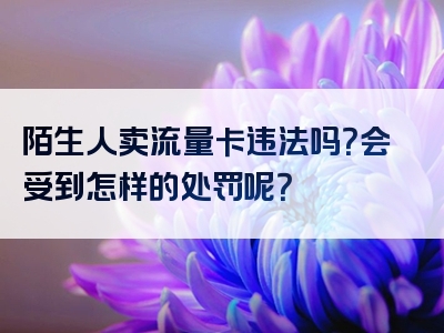 陌生人卖流量卡违法吗？会受到怎样的处罚呢？