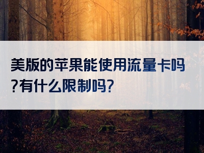 美版的苹果能使用流量卡吗？有什么限制吗？