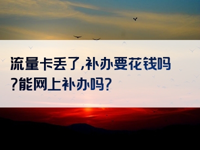 流量卡丢了，补办要花钱吗？能网上补办吗？
