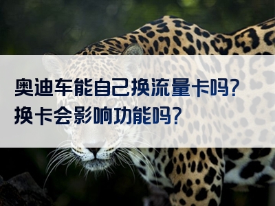 奥迪车能自己换流量卡吗？换卡会影响功能吗？