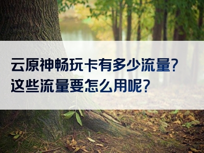 云原神畅玩卡有多少流量？这些流量要怎么用呢？