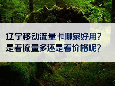 辽宁移动流量卡哪家好用？是看流量多还是看价格呢？