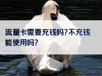 流量卡需要充钱吗？不充钱能使用吗？