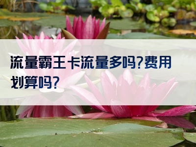 流量霸王卡流量多吗？费用划算吗？