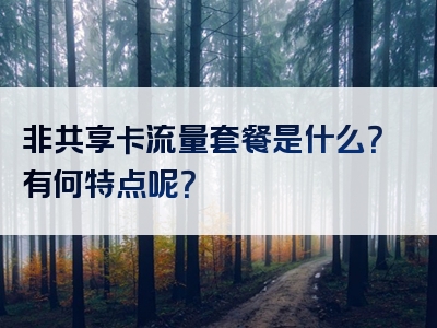 非共享卡流量套餐是什么？有何特点呢？