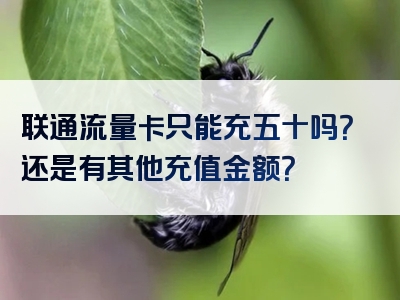 联通流量卡只能充五十吗？还是有其他充值金额？