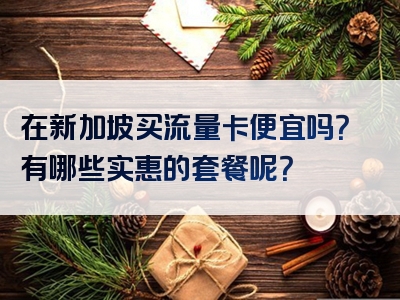 在新加坡买流量卡便宜吗？有哪些实惠的套餐呢？