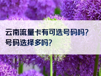 云南流量卡有可选号码吗？号码选择多吗？