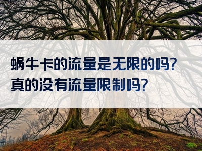 蜗牛卡的流量是无限的吗？真的没有流量限制吗？