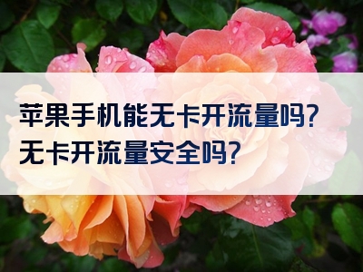 苹果手机能无卡开流量吗？无卡开流量安全吗？