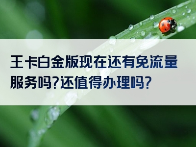 王卡白金版现在还有免流量服务吗？还值得办理吗？
