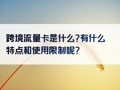 跨境流量卡是什么？有什么特点和使用限制呢？