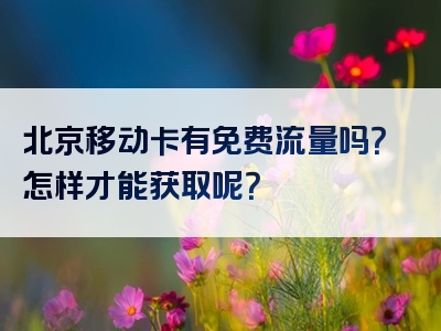北京移动卡有免费流量吗？怎样才能获取呢？