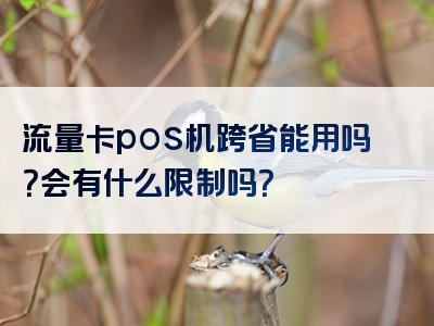 流量卡pos机跨省能用吗？会有什么限制吗？