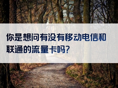 你是想问有没有移动电信和联通的流量卡吗？
