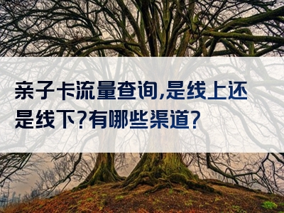 亲子卡流量查询，是线上还是线下？有哪些渠道？