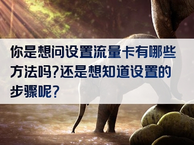 你是想问设置流量卡有哪些方法吗？还是想知道设置的步骤呢？