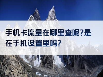 手机卡流量在哪里查呢？是在手机设置里吗？
