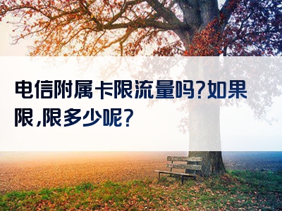电信附属卡限流量吗？如果限，限多少呢？