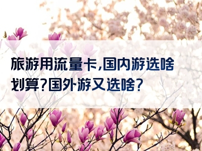 旅游用流量卡，国内游选啥划算？国外游又选啥？