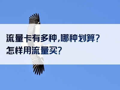 流量卡有多种，哪种划算？怎样用流量买？