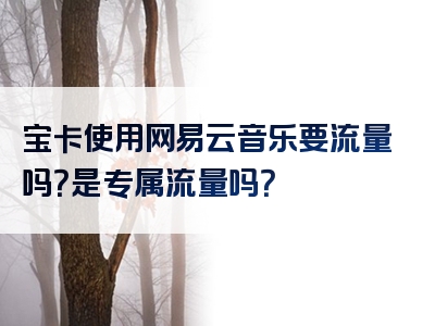 宝卡使用网易云音乐要流量吗？是专属流量吗？