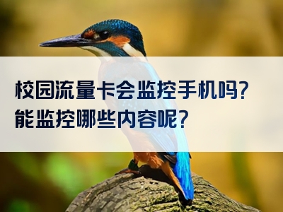 校园流量卡会监控手机吗？能监控哪些内容呢？
