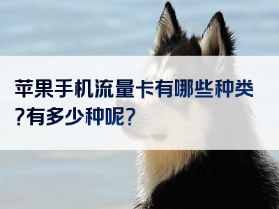 苹果手机流量卡有哪些种类？有多少种呢？