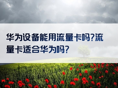 华为设备能用流量卡吗？流量卡适合华为吗？