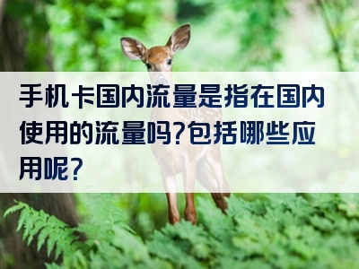 手机卡国内流量是指在国内使用的流量吗？包括哪些应用呢？