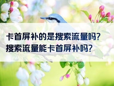 卡首屏补的是搜索流量吗？搜索流量能卡首屏补吗？