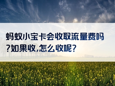 蚂蚁小宝卡会收取流量费吗？如果收，怎么收呢？