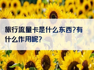 旅行流量卡是什么东西？有什么作用呢？