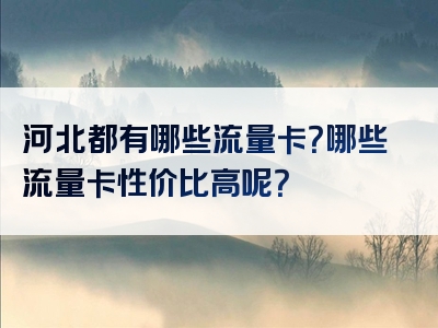 河北都有哪些流量卡？哪些流量卡性价比高呢？