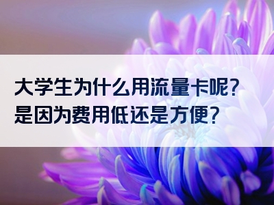 大学生为什么用流量卡呢？是因为费用低还是方便？
