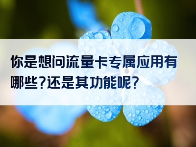 你是想问流量卡专属应用有哪些？还是其功能呢？