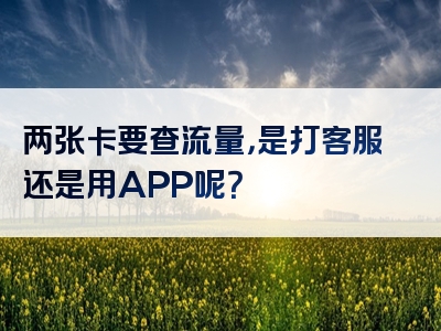 两张卡要查流量，是打客服还是用APP呢？