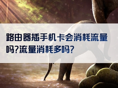 路由器插手机卡会消耗流量吗？流量消耗多吗？
