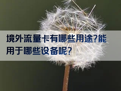 境外流量卡有哪些用途？能用于哪些设备呢？